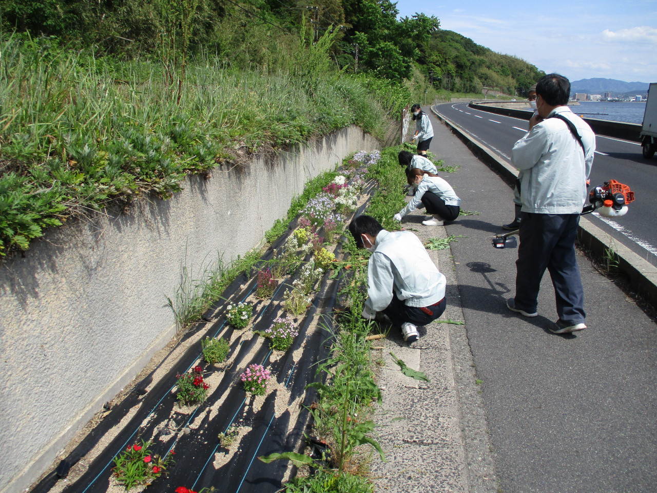 写真